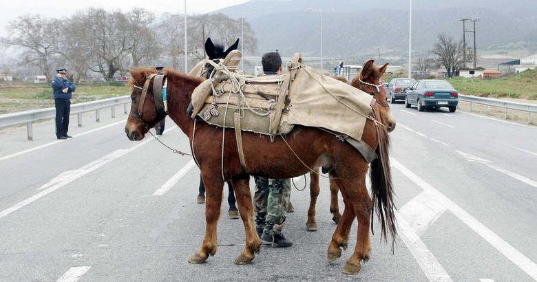 Άλογο σε δρόμο