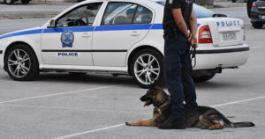 Αστυνομικός σκύλος