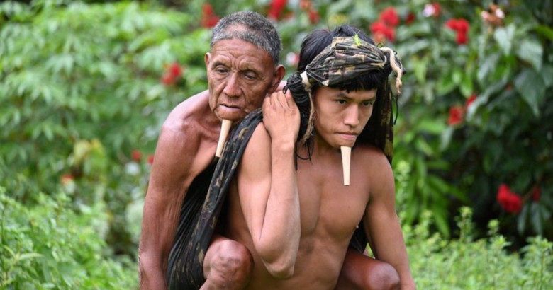 Βραζιλία, ιθαγενείς