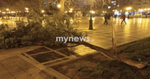 Πτώση δέντρου Πλατεία Αριστοτέλους Θεσσαλονίκη1
