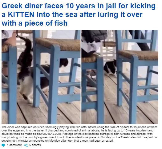 Daily Mail γάτα Αιδηψός