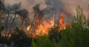 Πυρκαγιά στη Χαλκιδική