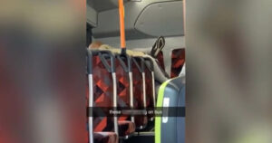 σεξ σε λεωφορείο, Αυστράλια