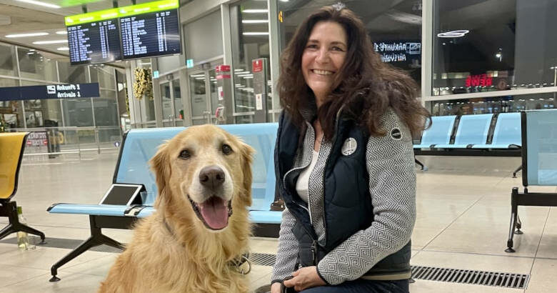 Σκύλος αεροδρόμιο
