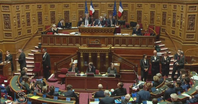 γαλλικό κοινοβούλιο