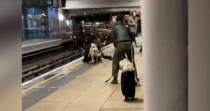 Σκυλιά, μετρό, Λονδίνο