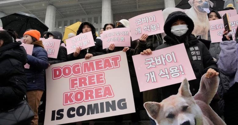 Νότια Κορέα, σκυλιά