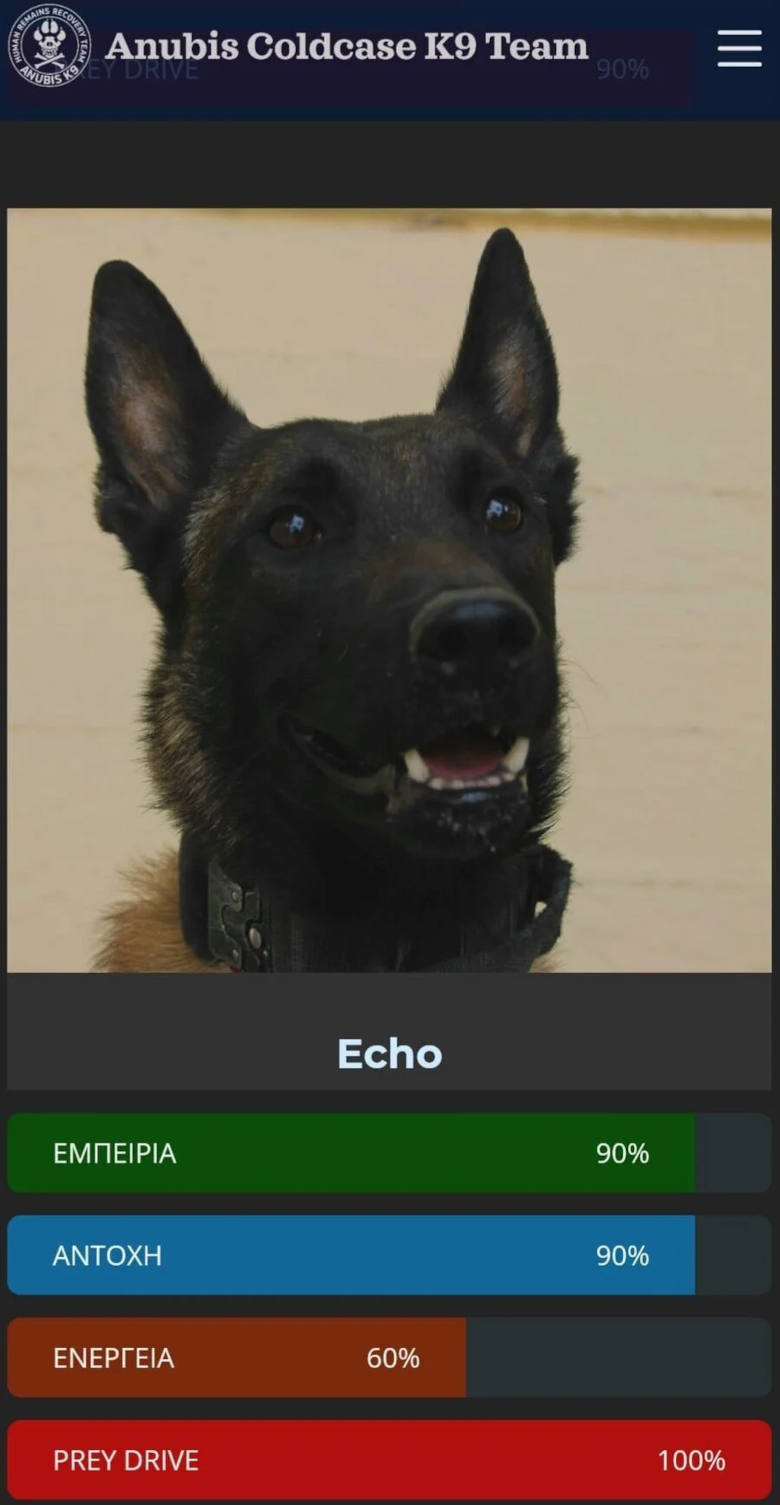 Echo, Σκύλος
